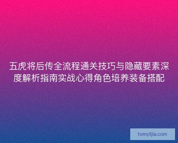 五虎将后传全流程通关技巧与隐藏要素深度解析指南实战心得角色培养装备搭配
