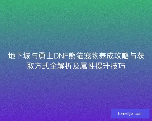 地下城与勇士DNF熊猫宠物养成攻略与获取方式全解析及属性提升技巧
